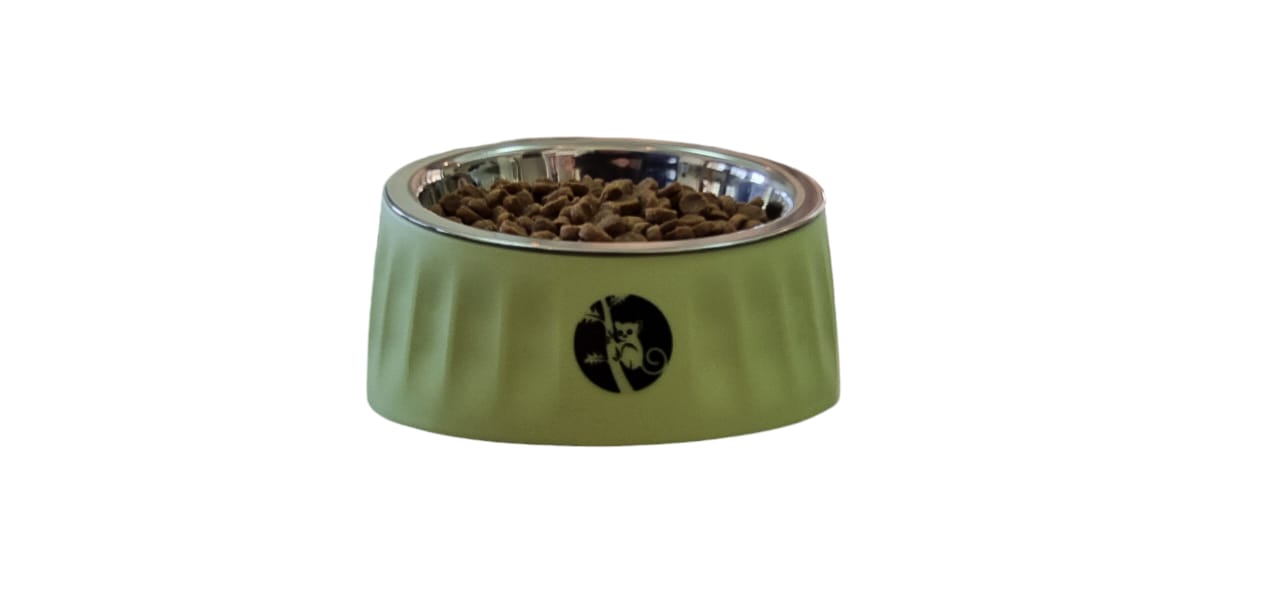 Slanted Cat and Dog Food Water Bowls Elevated Pet Feeder Bowl 280 ml