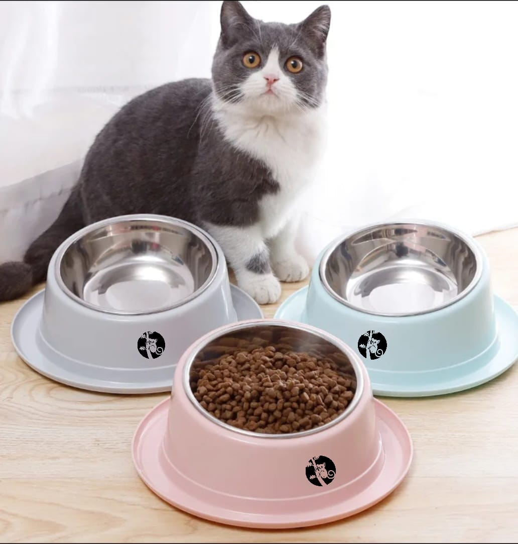 PhiliRo Stylish Raised Pet Feeding Bowls – Stainless Steel Cat & Dog Bowls for Easy Cleaning, Non-Spill Design