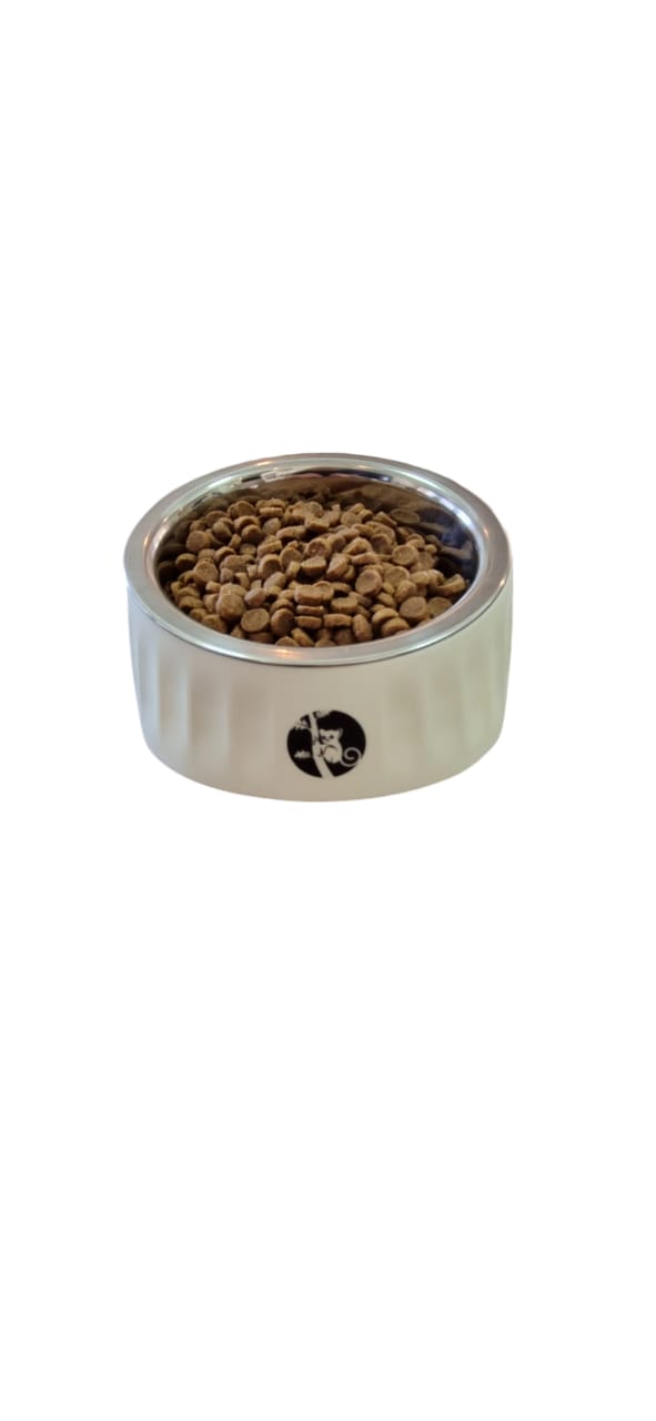 Slanted Cat and Dog Food Water Bowls Elevated Pet Feeder Bowl 280 ml