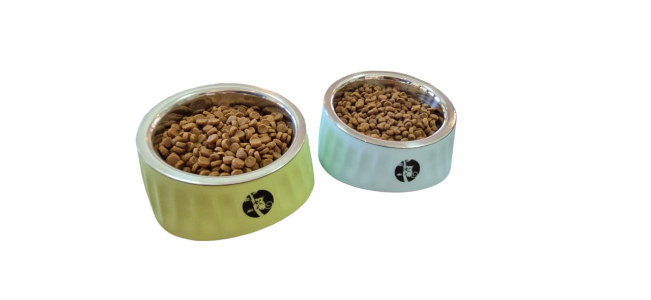 Slanted Cat and Dog Food Water Bowls Elevated Pet Feeder Bowl 280 ml