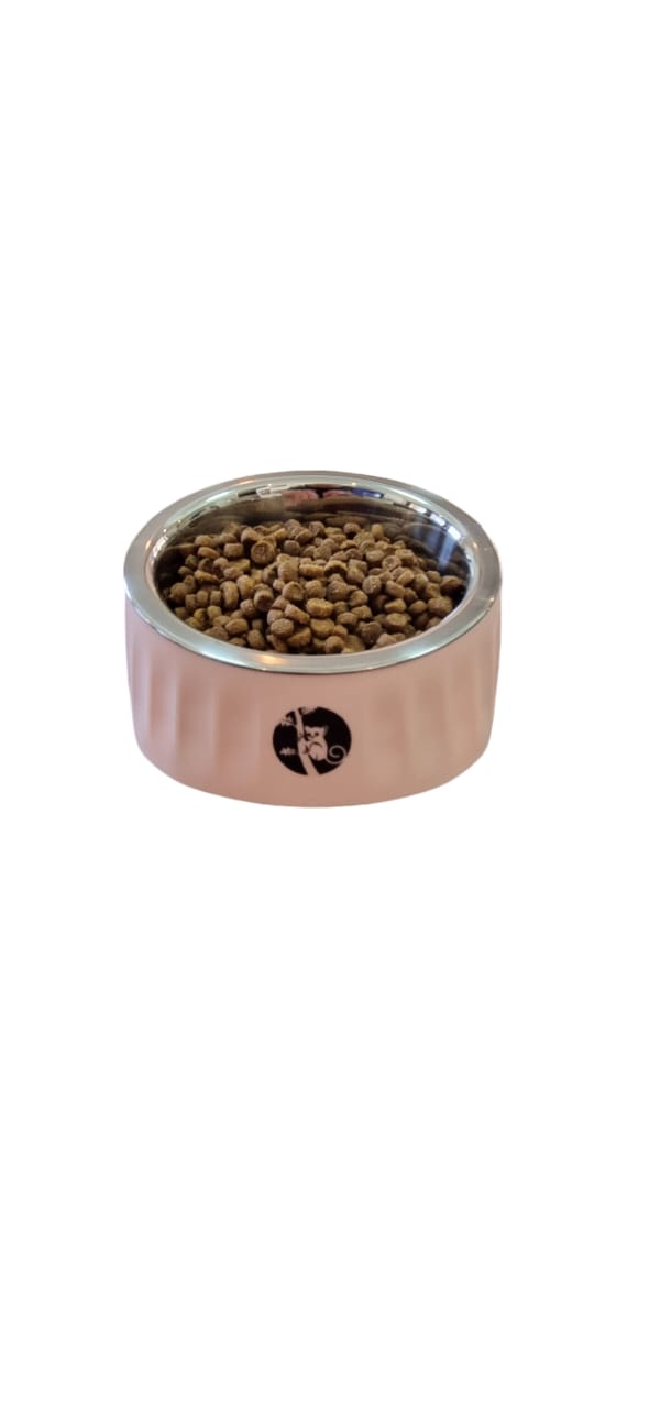 Slanted Cat and Dog Food Water Bowls Elevated Pet Feeder Bowl 280 ml