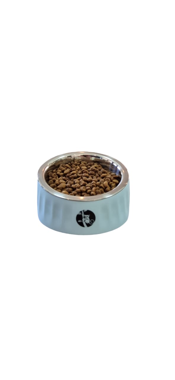 Slanted Cat and Dog Food Water Bowls Elevated Pet Feeder Bowl 280 ml